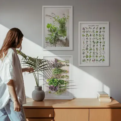Conjunto de quadros de ervas secas estilo moderno para cozinha