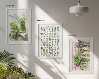 Conjunto de quadros de ervas secas estilo moderno para cozinha