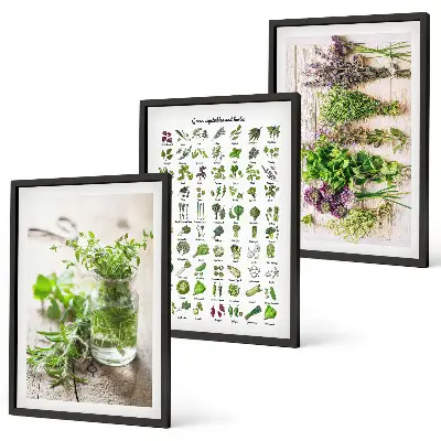 Conjunto de quadros de ervas secas estilo moderno para cozinha