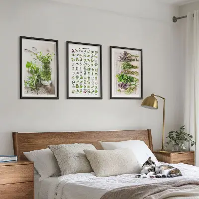 Conjunto de quadros de ervas secas estilo moderno para cozinha
