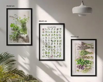 Conjunto de quadros de ervas secas estilo moderno para cozinha