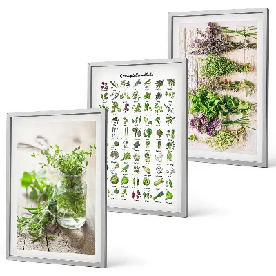 Conjunto de quadros de ervas secas estilo moderno para cozinha