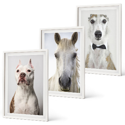 Conjunto de 3 quadros com moldura Retratos elegantes de cães e cavalos