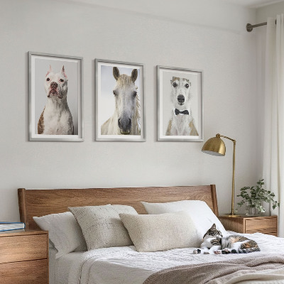 Conjunto de 3 quadros com moldura Retratos elegantes de cães e cavalos