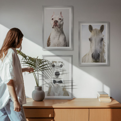 Conjunto de 3 quadros com moldura Retratos elegantes de cães e cavalos