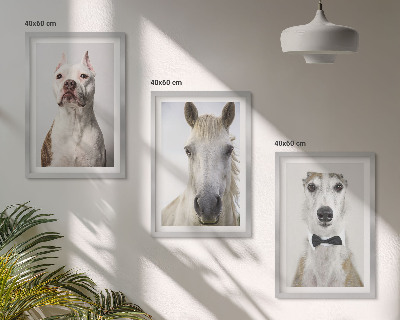 Conjunto de 3 quadros com moldura Retratos elegantes de cães e cavalos