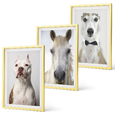 Conjunto de 3 quadros com moldura Retratos elegantes de cães e cavalos