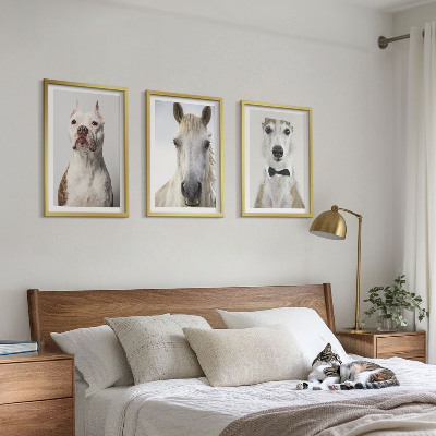 Conjunto de 3 quadros com moldura Retratos elegantes de cães e cavalos