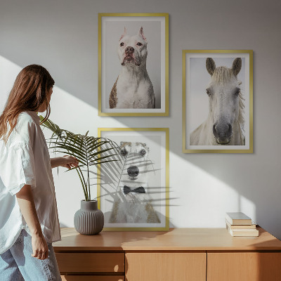 Conjunto de 3 quadros com moldura Retratos elegantes de cães e cavalos