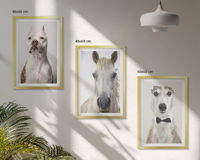 Conjunto de 3 quadros com moldura Retratos elegantes de cães e cavalos