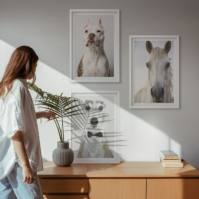 Conjunto de 3 quadros com moldura Retratos elegantes de cães e cavalos