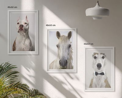 Conjunto de 3 quadros com moldura Retratos elegantes de cães e cavalos