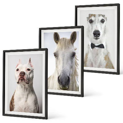 Conjunto de 3 quadros com moldura Retratos elegantes de cães e cavalos