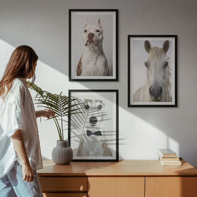 Conjunto de 3 quadros com moldura Retratos elegantes de cães e cavalos