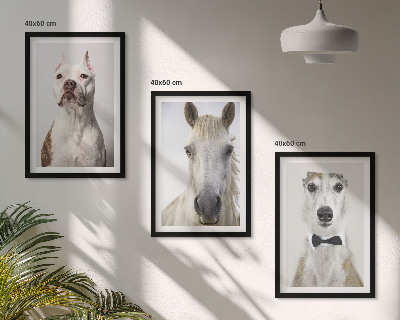 Conjunto de 3 quadros com moldura Retratos elegantes de cães e cavalos