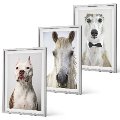 Conjunto de 3 quadros com moldura Retratos elegantes de cães e cavalos