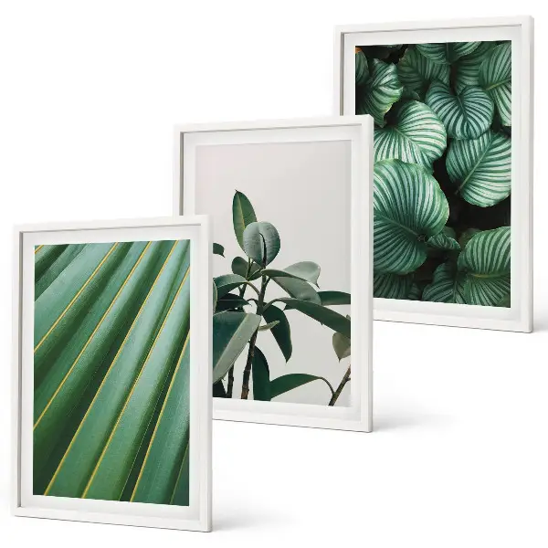 Conjunto de 3 quadros com moldura com estampa de folhas tropicais estéticas