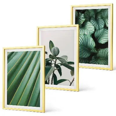 Conjunto de 3 quadros com moldura com estampa de folhas tropicais estéticas