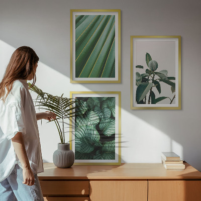 Conjunto de 3 quadros com moldura Folhas tropicais estéticas