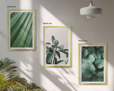 Conjunto de 3 quadros com moldura Folhas tropicais estéticas
