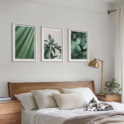 Conjunto de 3 quadros com moldura Folhas tropicais estéticas