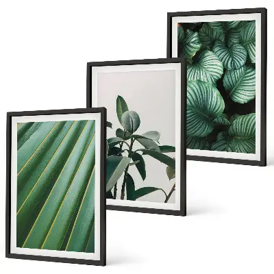 Conjunto de 3 quadros com moldura com estampa de folhas tropicais estéticas