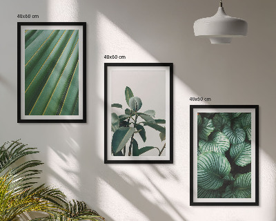Conjunto de 3 quadros com moldura Folhas tropicais estéticas