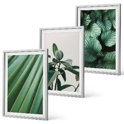 Conjunto de 3 quadros com moldura com estampa de folhas tropicais estéticas
