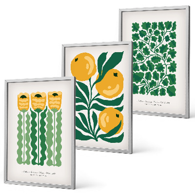 Conjunto de quadros para sala de estar Padrões de plantas, flores e folhas