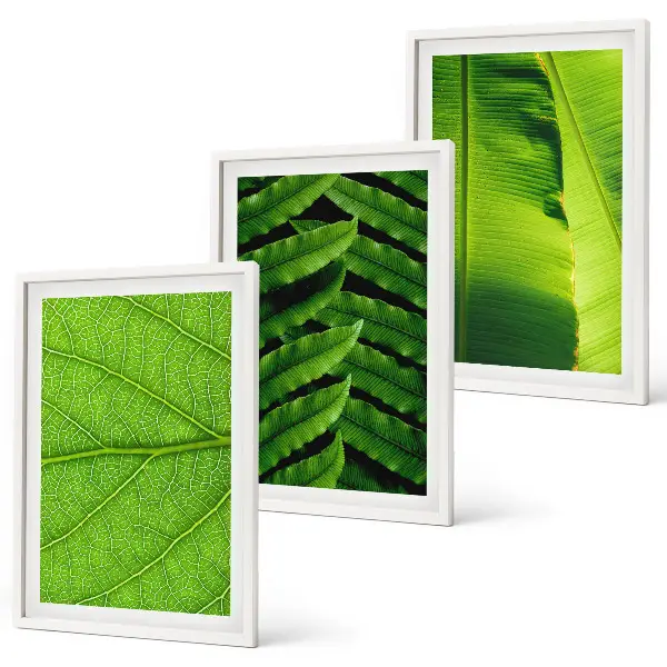 Conjunto de quadros para sala de estar com fotografia macro de folhas tropicais