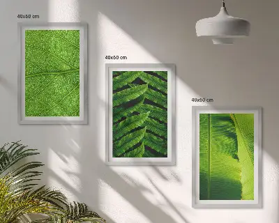Conjunto de quadros para sala de estar com fotografia macro de folhas tropicais