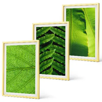 Conjunto de quadros para sala de estar com fotografia macro de folhas tropicais