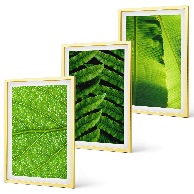 Conjunto de quadros para sala de estar Fotografia macro de folhas tropicais