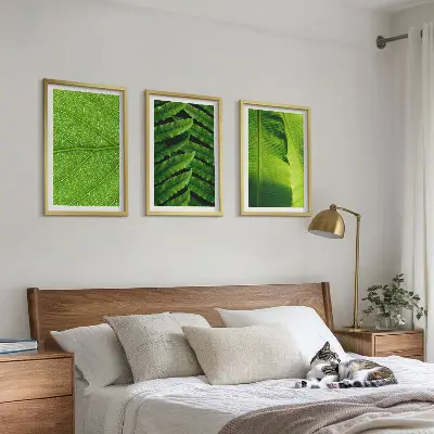 Conjunto de quadros para sala de estar com fotografia macro de folhas tropicais