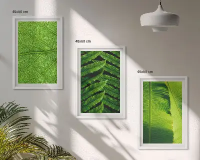 Conjunto de quadros para sala de estar com fotografia macro de folhas tropicais