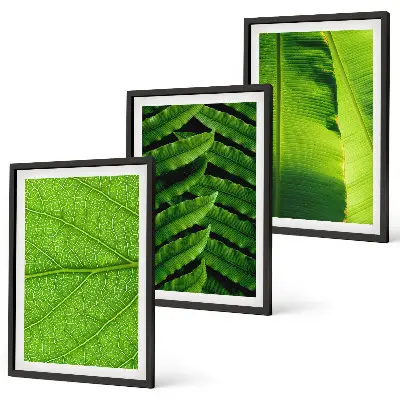 Conjunto de quadros para sala de estar com fotografia macro de folhas tropicais