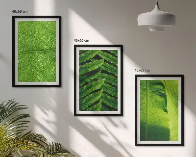 Conjunto de quadros para sala de estar com fotografia macro de folhas tropicais