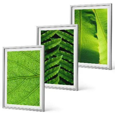 Conjunto de quadros para sala de estar com fotografia macro de folhas tropicais