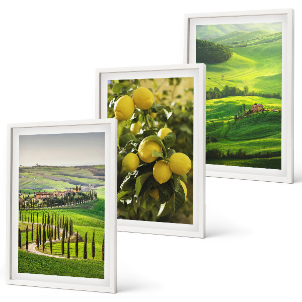 Conjunto de quadros para sala de estar Cítricos e colinas italianas
