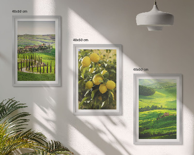 Conjunto de quadros para sala de estar Cítricos e colinas italianas