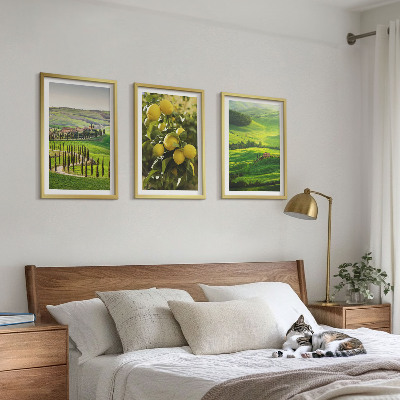 Conjunto de quadros para sala de estar Cítricos e colinas italianas