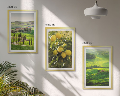 Conjunto de quadros para sala de estar Cítricos e colinas italianas