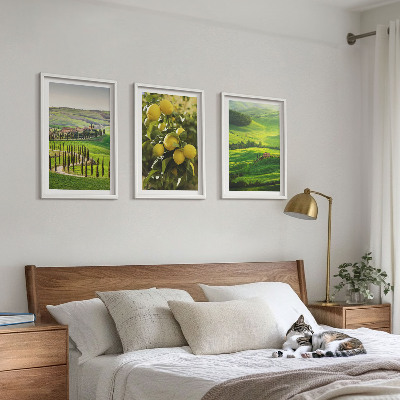Conjunto de quadros para sala de estar Cítricos e colinas italianas