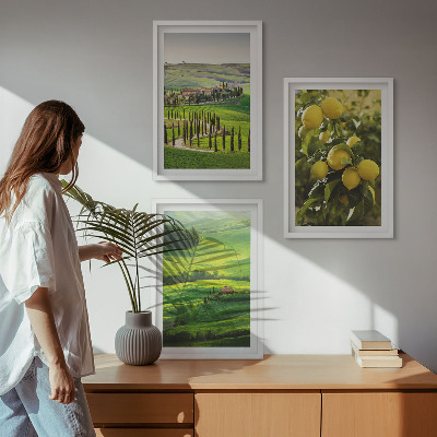 Conjunto de quadros para sala de estar Cítricos e colinas italianas