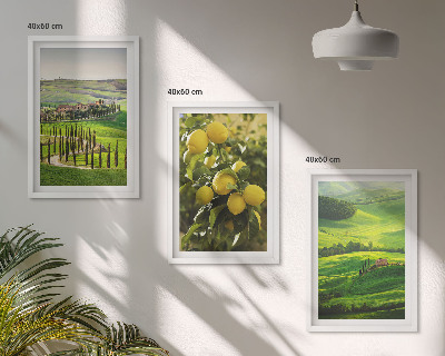 Conjunto de quadros para sala de estar Cítricos e colinas italianas