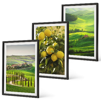 Conjunto de quadros para sala de estar Cítricos e colinas italianas
