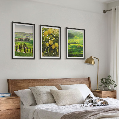 Conjunto de quadros para sala de estar Cítricos e colinas italianas