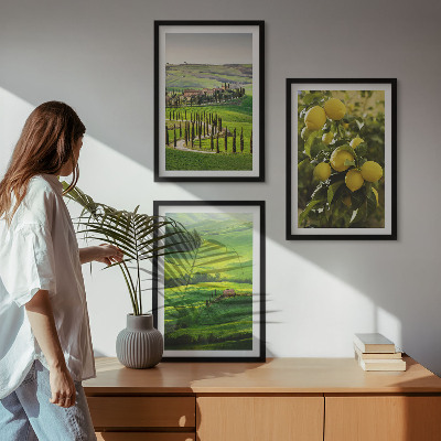 Conjunto de quadros para sala de estar Cítricos e colinas italianas