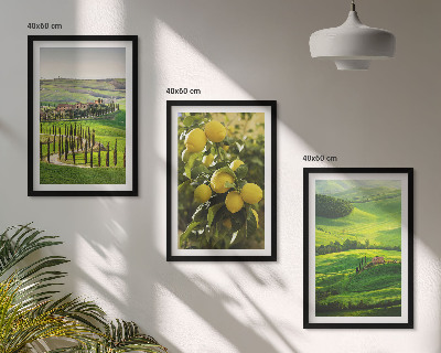 Conjunto de quadros para sala de estar Cítricos e colinas italianas