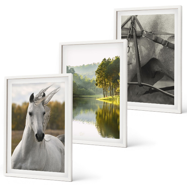 Conjunto de 3 quadros com moldura Rio dos Cavalos Brancos natureza